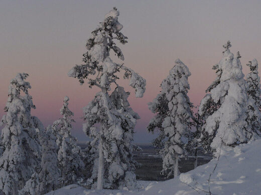 Finnish Lapland