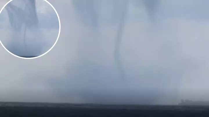 SPOUTS
