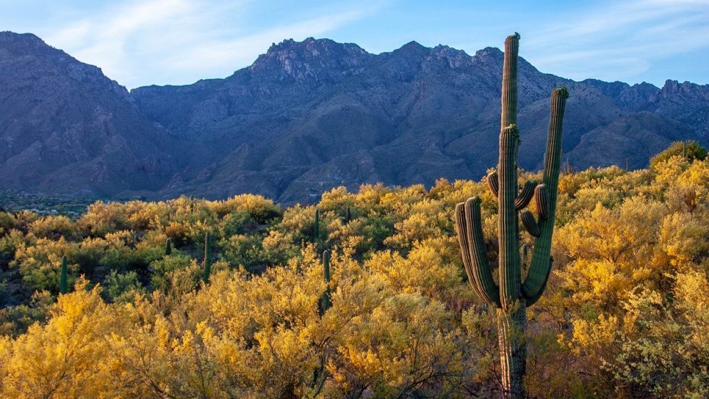 Tuscon, Arizona