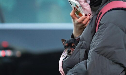 Click to enlarge Record cold in Beijing