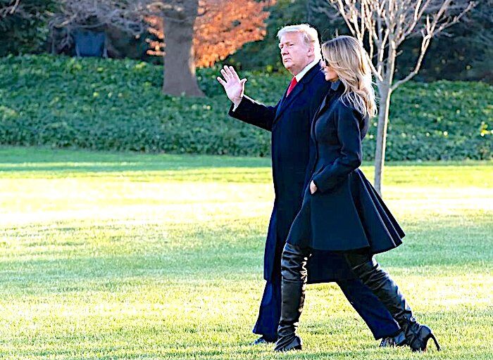 Click to enlarge Donald/Melania