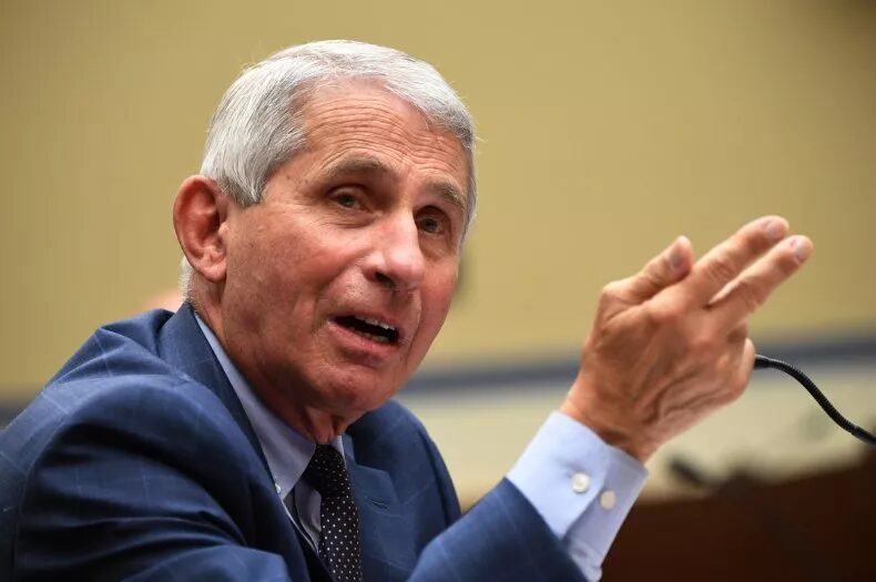 Click to enlarge fauci