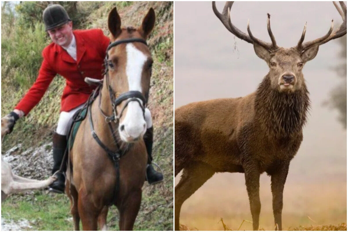 Ger Withers passed away on Tuesday after being attacked by a stag