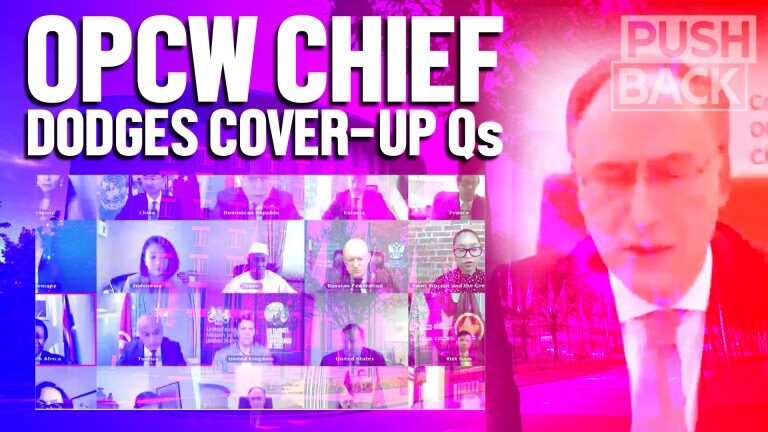 Click to enlarge opcw chief cover up