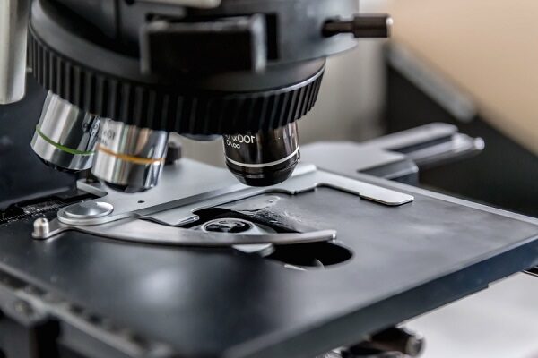 Click to enlarge microscope
