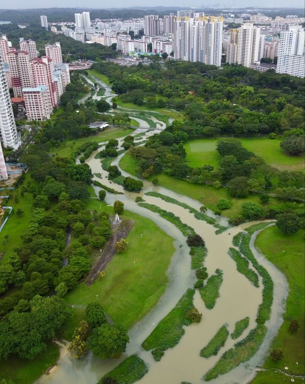 Click to enlarge Bishan Park, River Plains. Singapore. 6:22pm, 02-01-2021.
