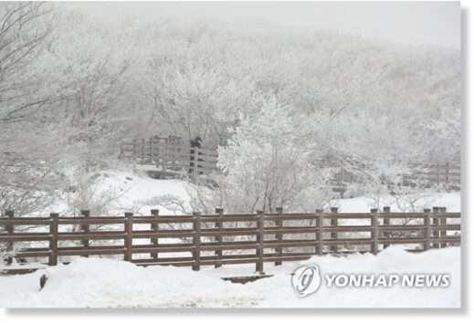 Mount Halla on the southern resort island of Jeju is covered with snow on Jan. 6, 2021.