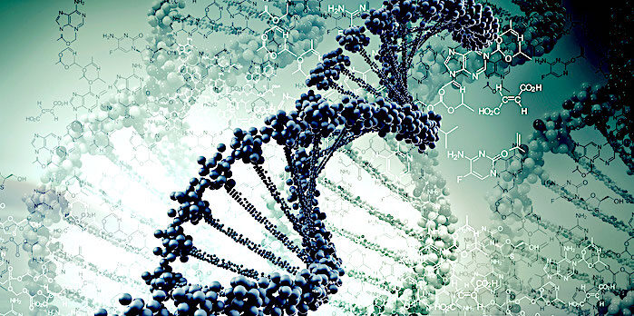 Click to enlarge Junk DNA
