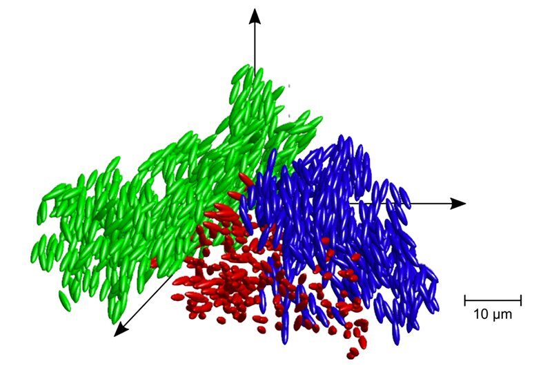 Click to enlarge Ellipsoidal