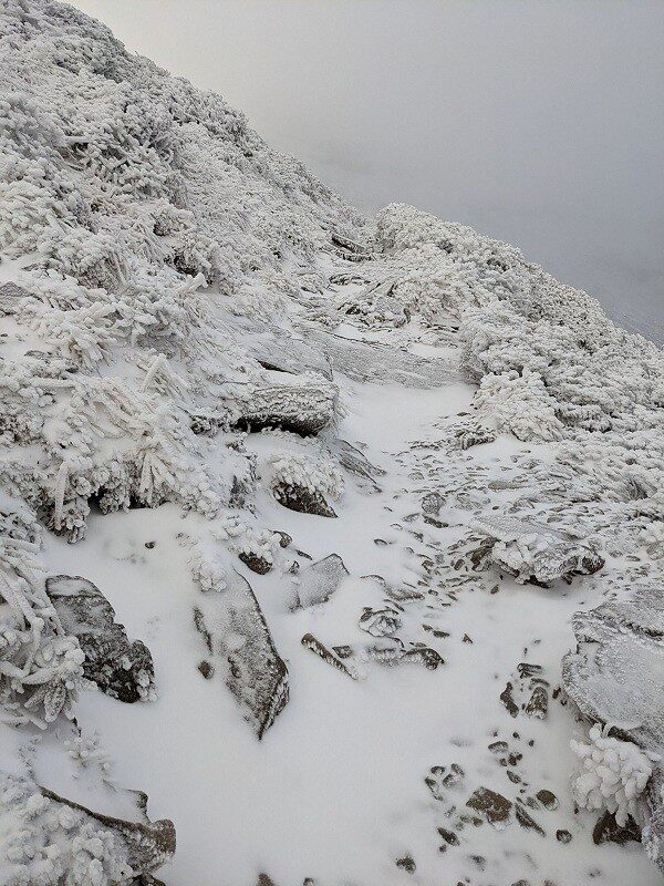 snow