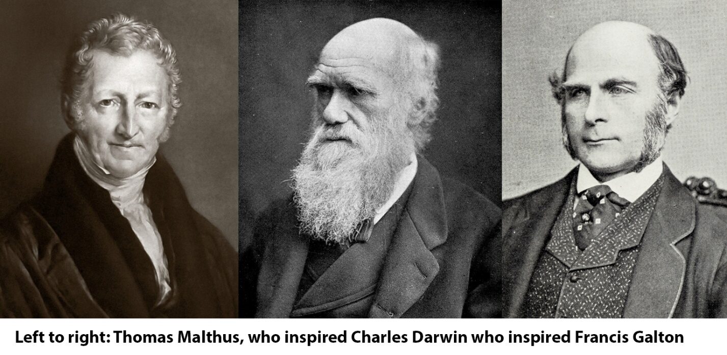 Click to enlarge Malthus - Darwin -Galton