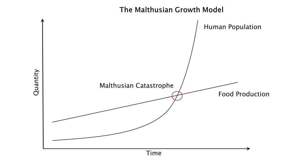 Malthusian Growth Model