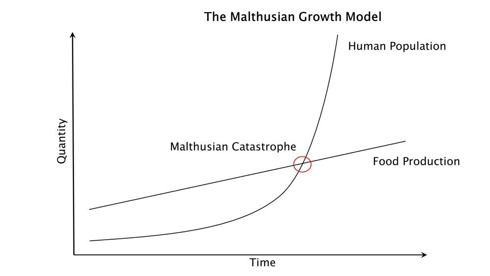 Click to enlarge Malthusian Growth Model