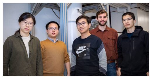 The Research Team