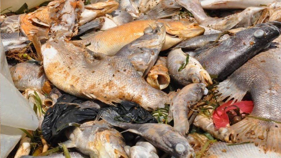Uganda's authorities have ruled out poisoning as the cause of death