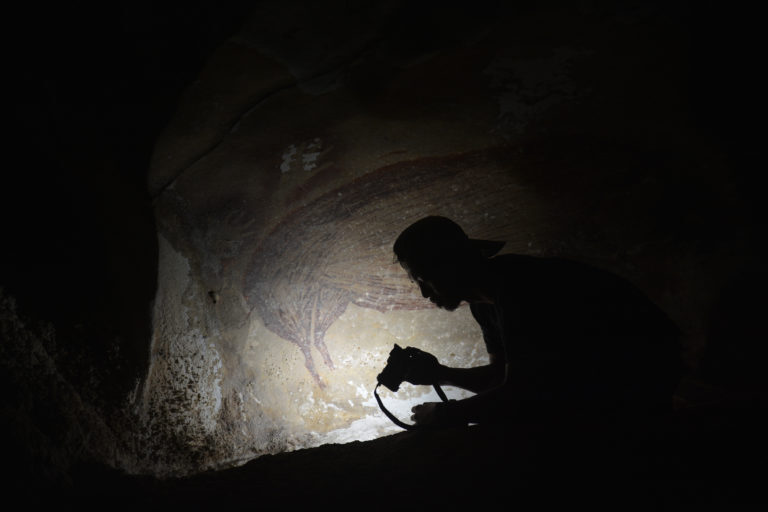 cave painting pig