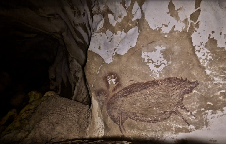 cave painting pig