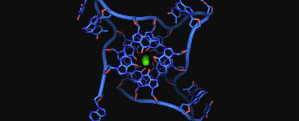 4 strand dna