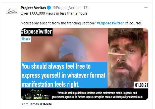 veritas expose twitter