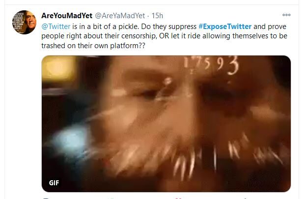 Click to enlarge veritas expose twitter veritas dorsey censorship