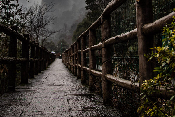Click to enlarge taiwan