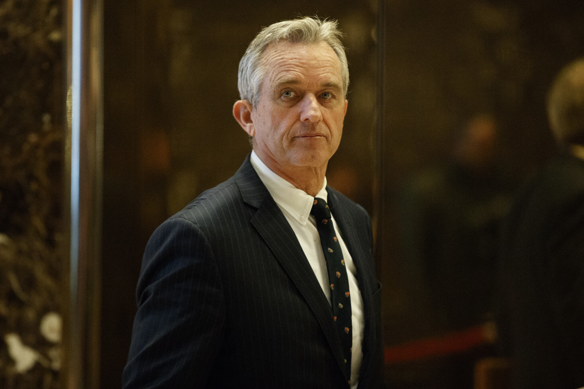 Robert Kennedy Jr America Needs a Revolution — Society's Child —