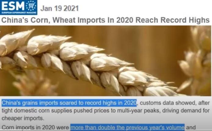 china grain imports