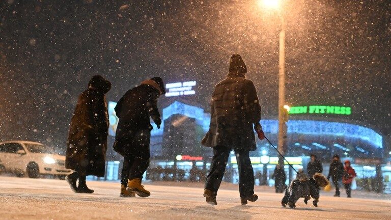 Russia cold fur