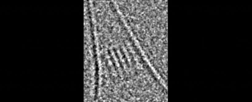 salt crystalization