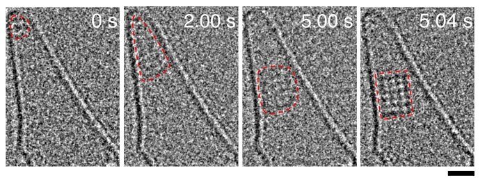 salt crystalization