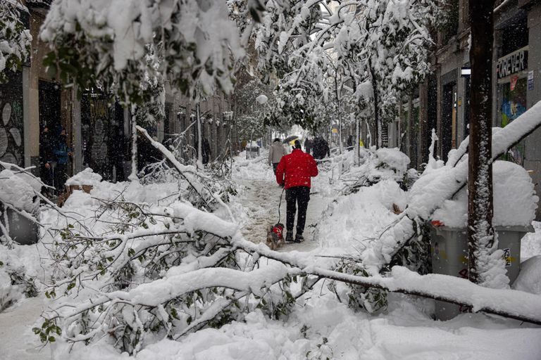 Click to enlarge snow