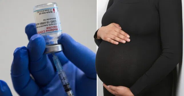 vaccine pregnant women
