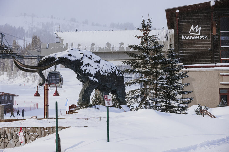 Click to enlarge mammoth
