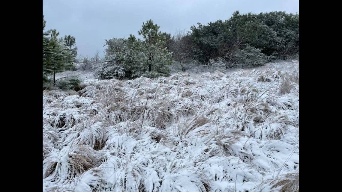 Click to enlarge rare snow