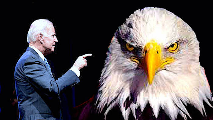 Click to enlarge BidenEagle