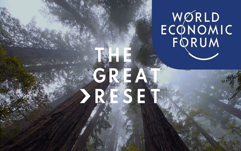 Click to enlarge WEF, World Economic Forum, The Great Reset