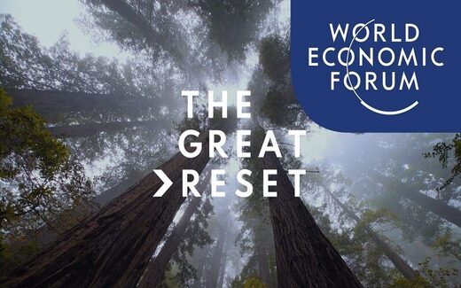 Click to enlarge WEF, World Economic Forum, The Great Reset