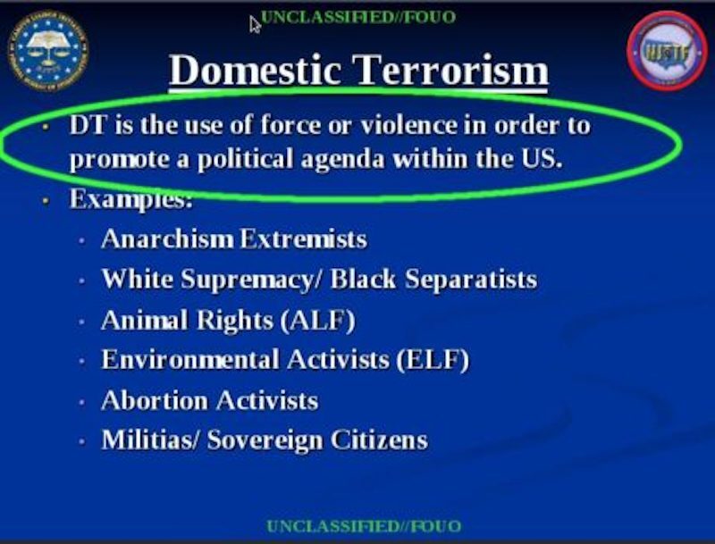 domestic terrorism