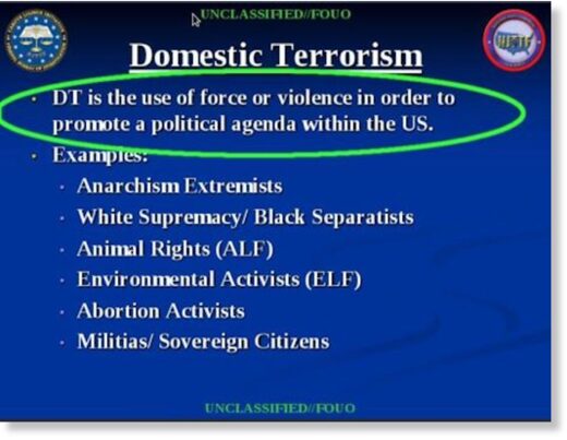 domestic terrorism