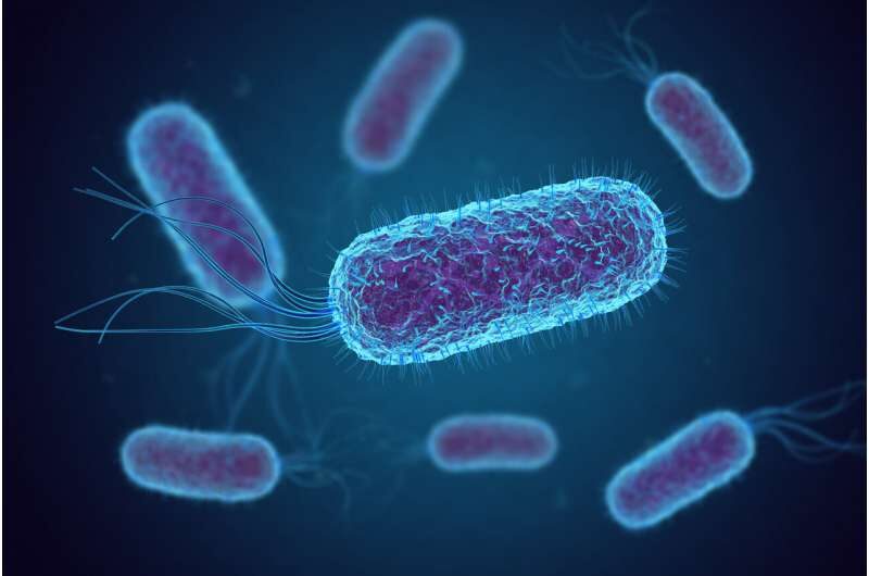 Escherichia E. coli)