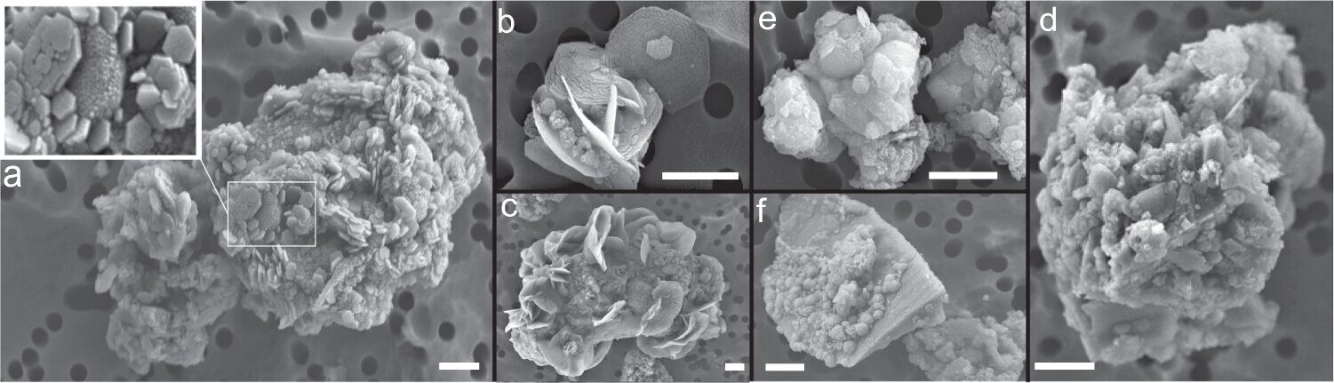jarosite