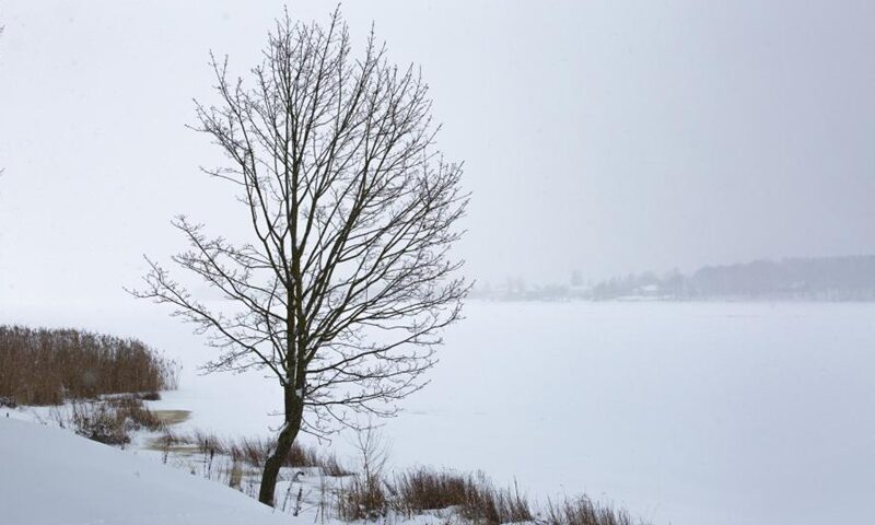 Photo taken on Jan. 30, 2021 shows the snow