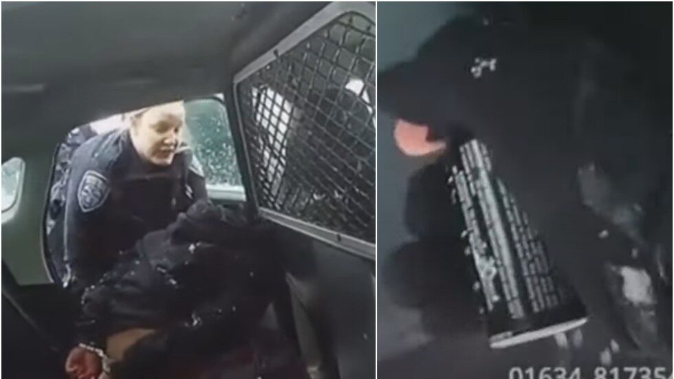 Click to enlarge Police pepperspray girl