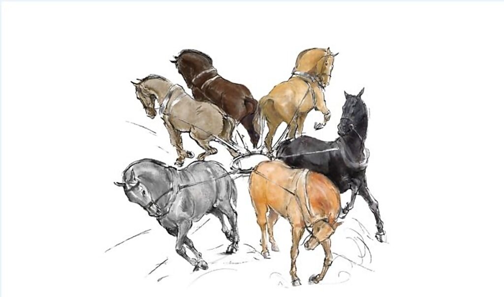 Click to enlarge horses pulling different directions cross-purposes Trump legal team