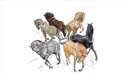 horses pulling different directions cross-purposes Trump legal team