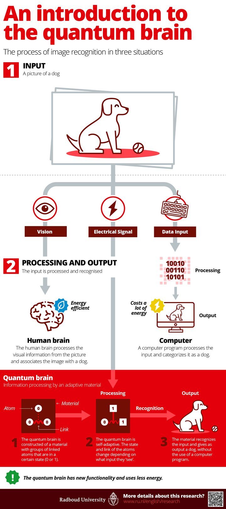 Click to enlarge Quantum Brain