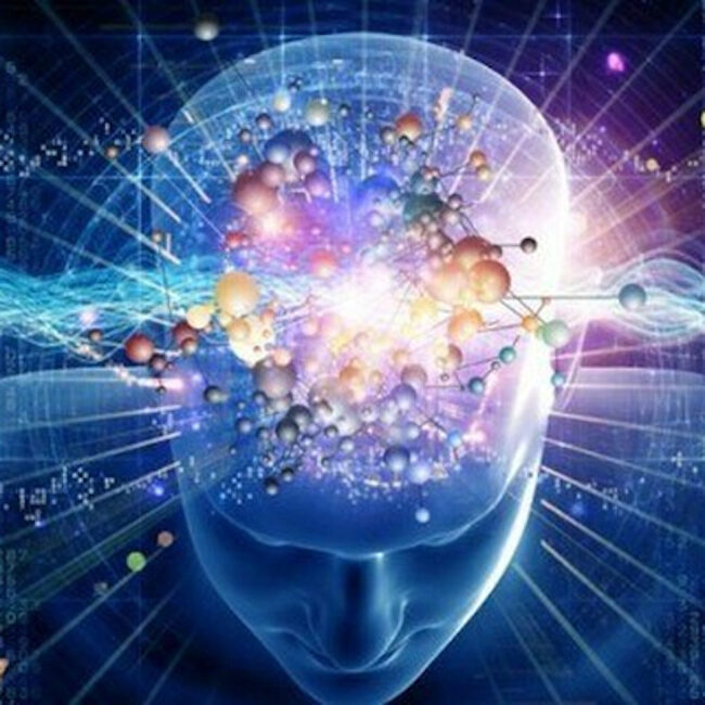 Quantum Brain