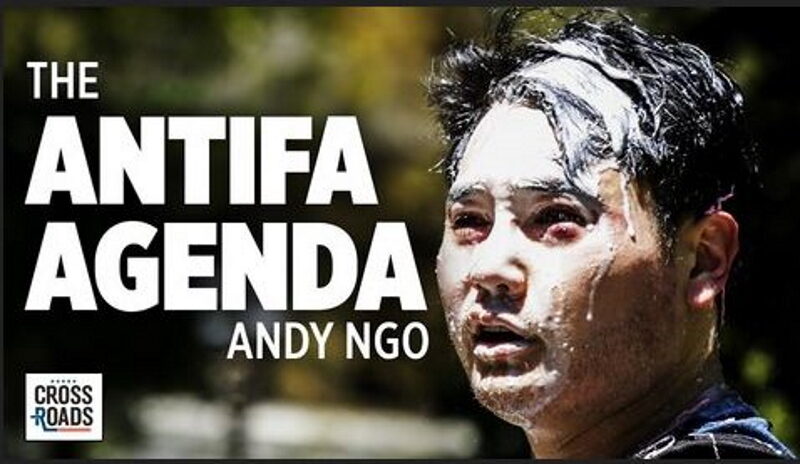 Click to enlarge andy ngo book cover