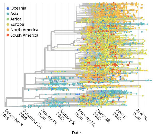 Click to enlarge Covid mutations