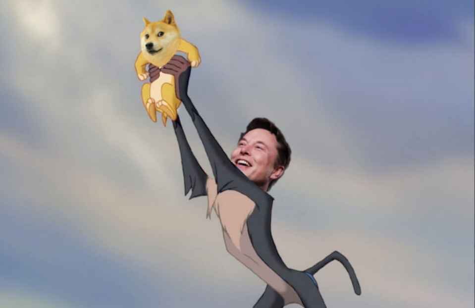 elon musk dogecoin